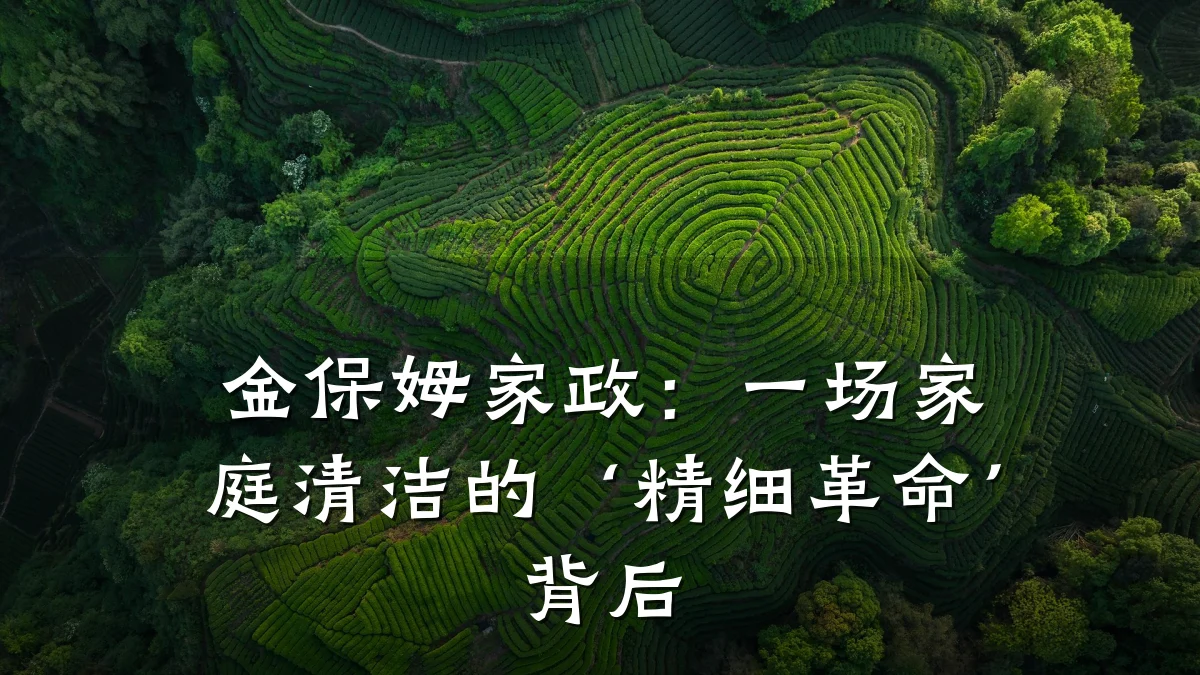 金保姆家政:一场家庭清洁的‘精细革命’背后