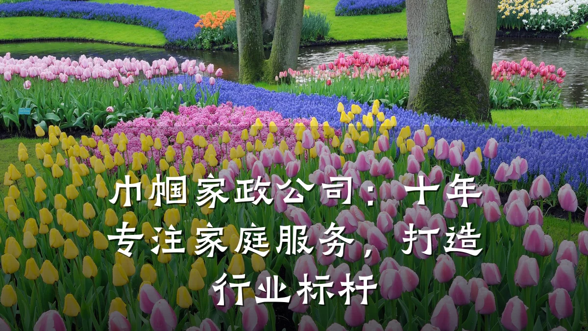 巾帼家政公司:十年专注家庭服务,打造行业标杆