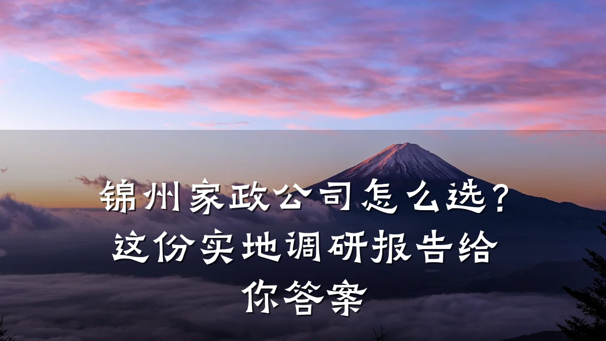 锦州家政公司怎么选?这份实地调研报告给你答案