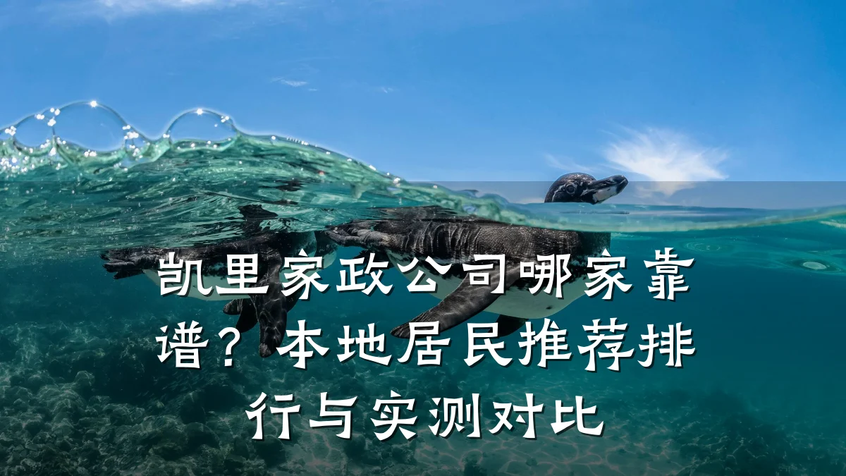 凯里家政公司哪家靠谱?本地居民推荐排行与实测对比