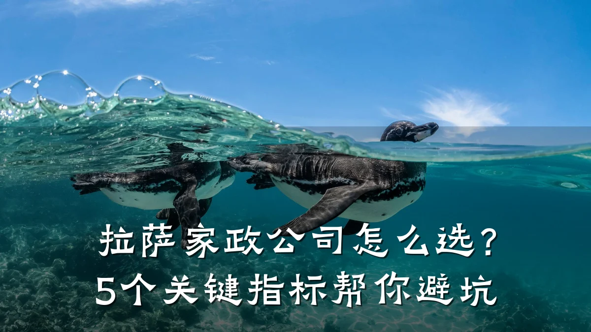 拉萨家政公司怎么选?5个关键指标帮你避坑