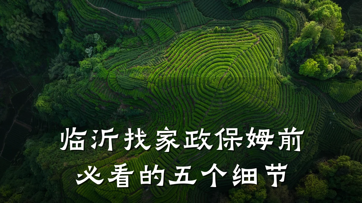 临沂找家政保姆前必看的五个细节