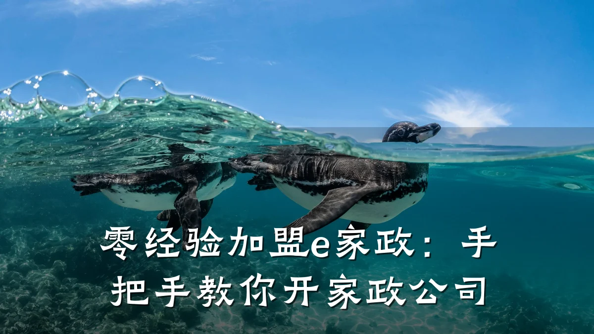 零经验加盟e家政:手把手教你开家政公司
