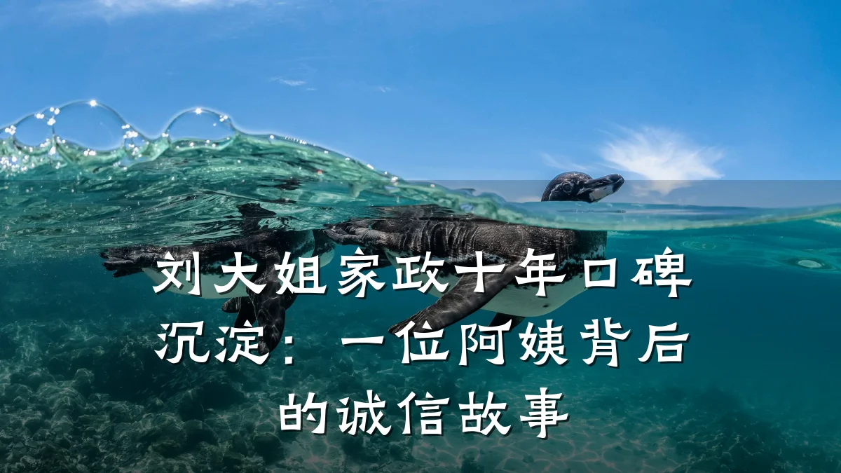 刘大姐家政十年口碑沉淀：一位阿姨背后的诚信故事