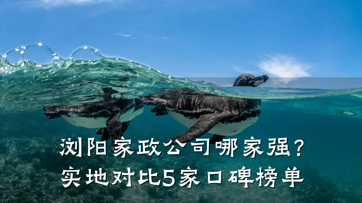 浏阳家政公司哪家强?实地对比5家口碑榜单