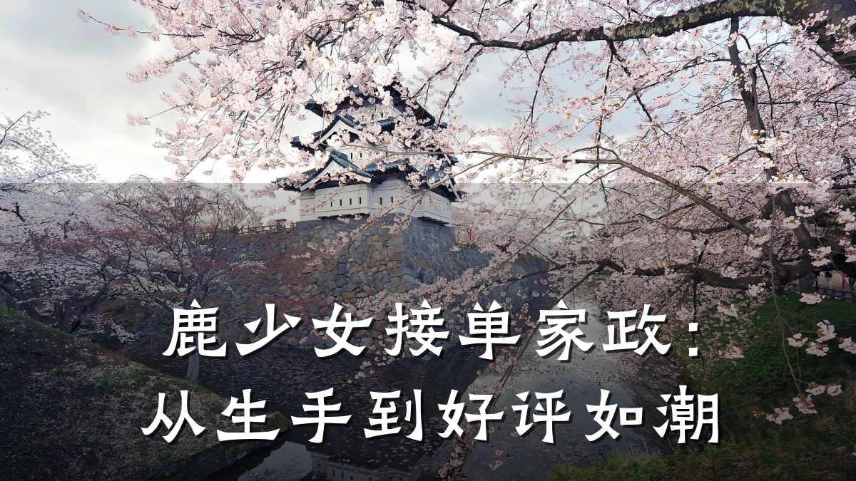 鹿少女接单家政：从生手到好评如潮