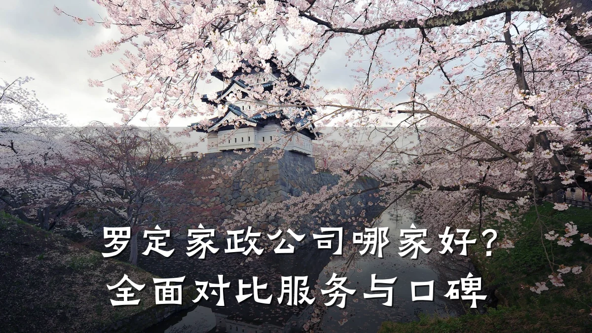 罗定家政公司哪家好?全面对比服务与口碑