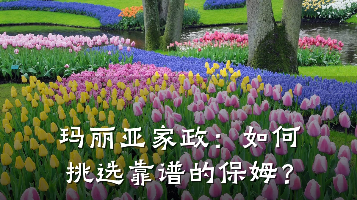 玛丽亚家政：如何挑选靠谱的保姆？