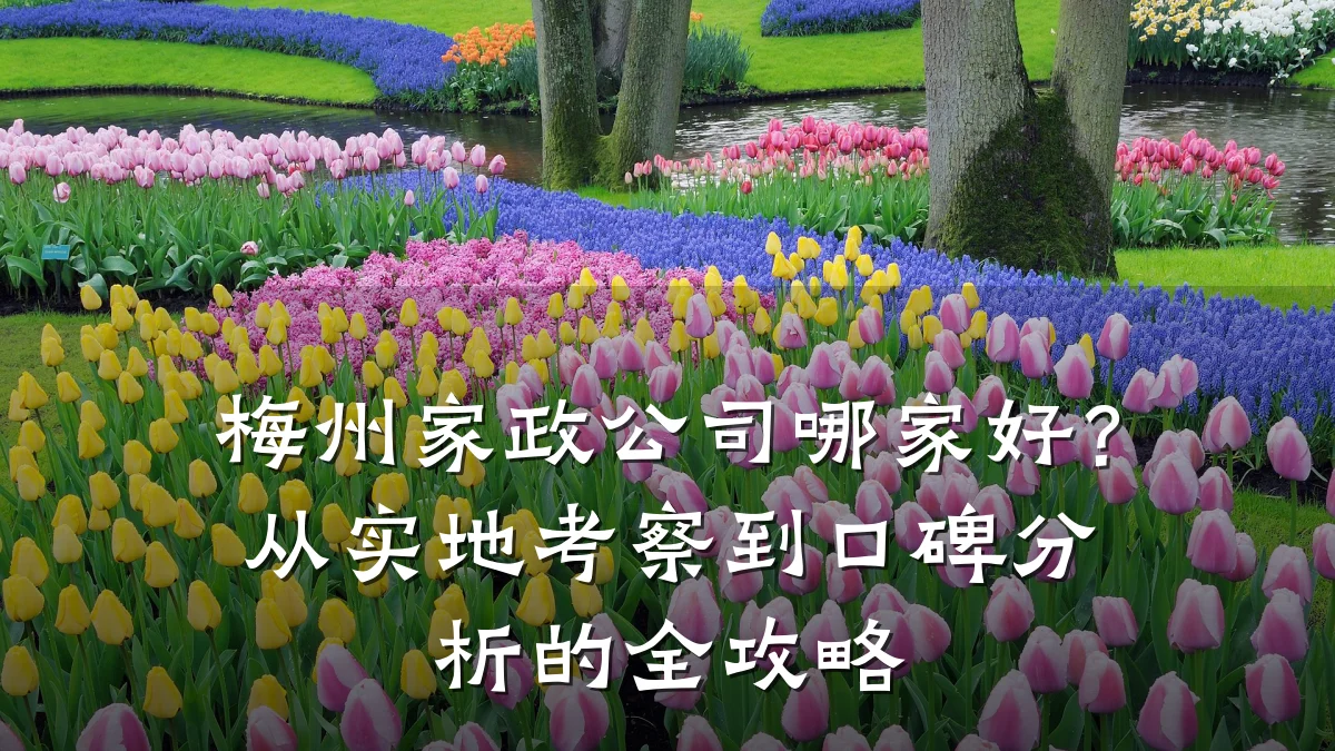 梅州家政公司哪家好?从实地考察到口碑分析的全攻略