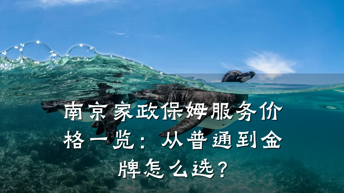 南京家政保姆服务价格一览:从普通到金牌怎么选?