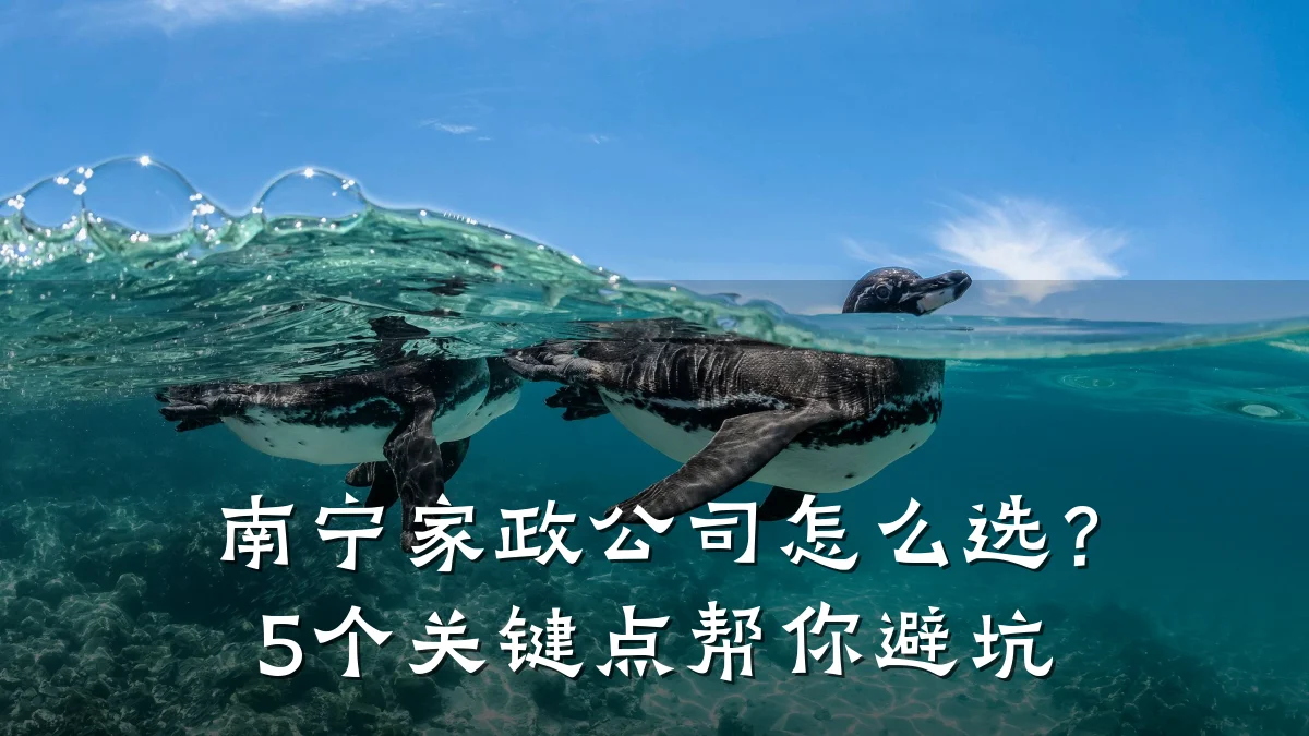 南宁家政公司怎么选?5个关键点帮你避坑