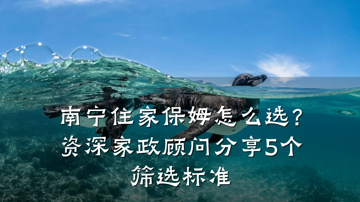 南宁住家保姆怎么选?资深家政顾问分享5个筛选标准