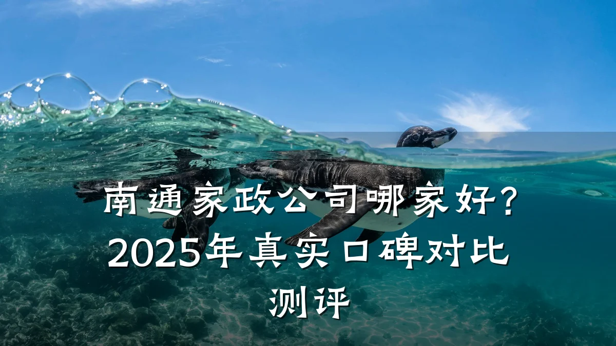南通家政公司哪家好?2025年真实口碑对比测评