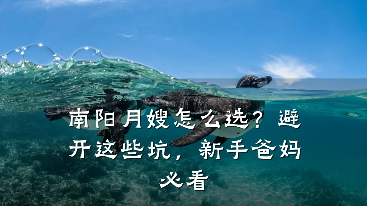南阳月嫂怎么选?避开这些坑,新手爸妈必看