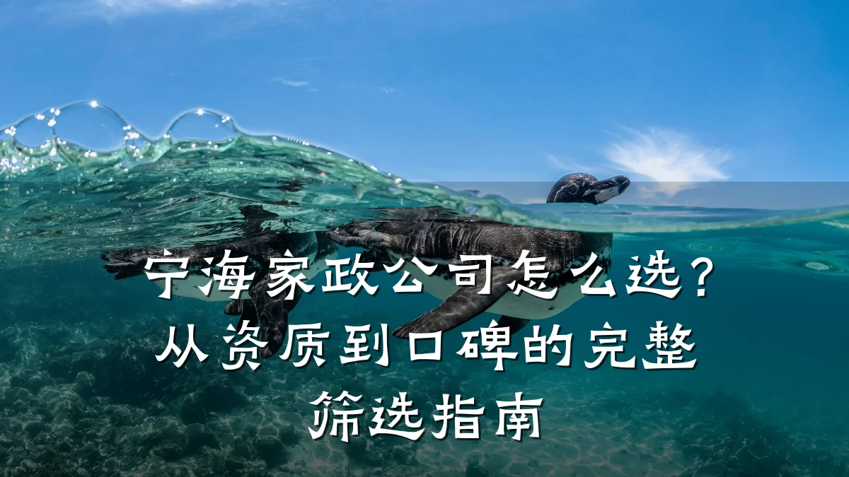 宁海家政公司怎么选?从资质到口碑的完整筛选指南
