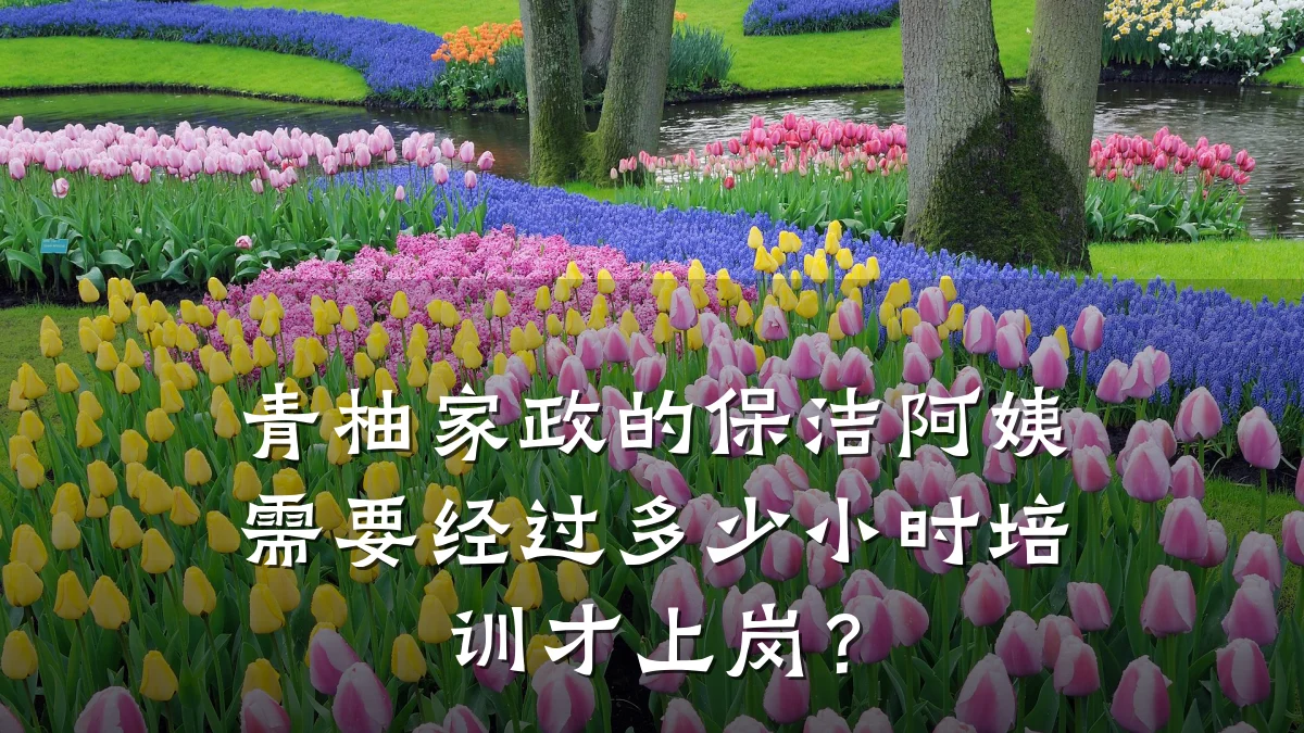 青柚家政的保洁阿姨需要经过多少小时培训才上岗?