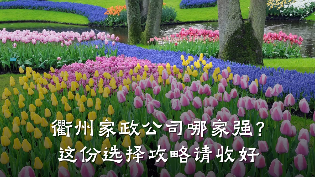 衢州家政公司哪家强?这份选择攻略请收好