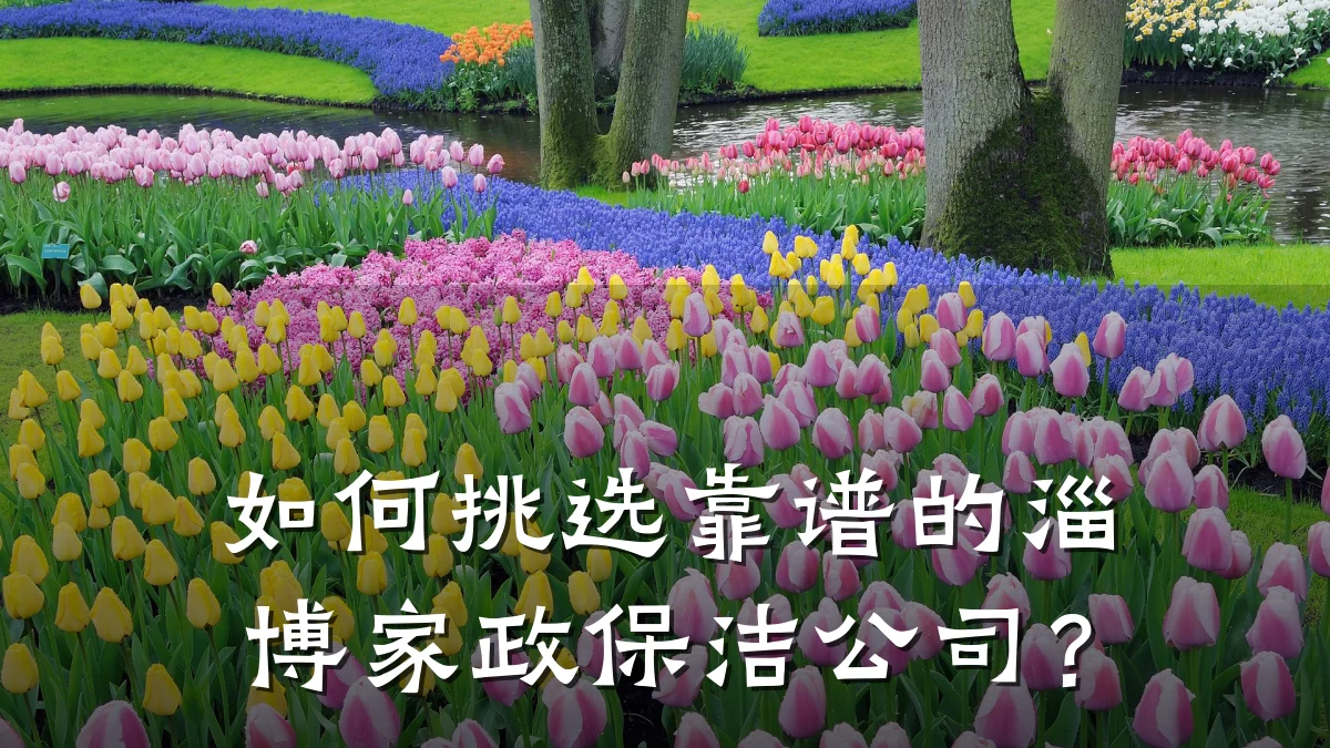如何挑选靠谱的淄博家政保洁公司？