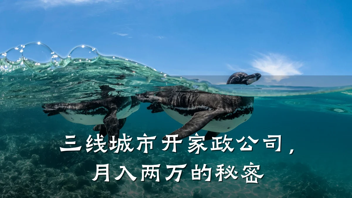 三线城市开家政公司,月入两万的秘密