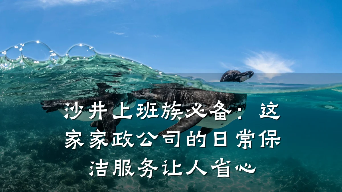 沙井上班族必备:这家家政公司的日常保洁服务让人省心