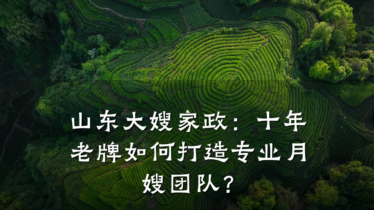 山东大嫂家政:十年老牌如何打造专业月嫂团队?