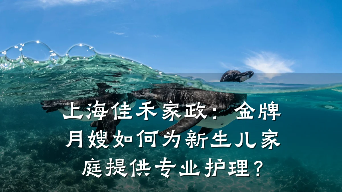 上海佳禾家政：金牌月嫂如何为新生儿家庭提供专业护理？
