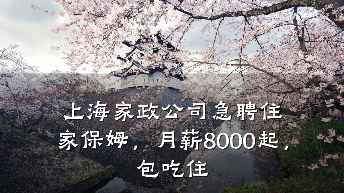 上海家政公司急聘住家保姆，月薪8000起，包吃住