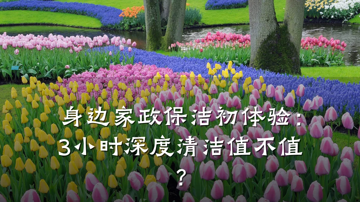 身边家政保洁初体验：3小时深度清洁值不值？