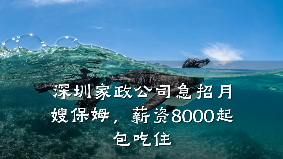 深圳家政公司急招月嫂保姆，薪资8000起包吃住