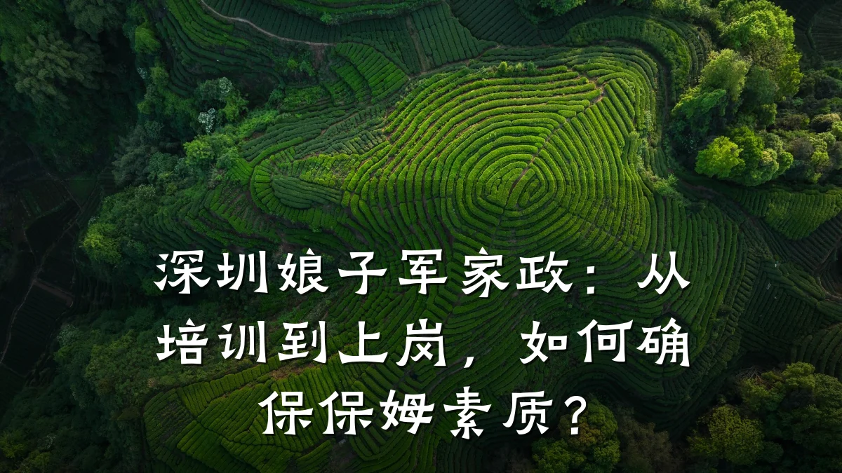 深圳娘子军家政:从培训到上岗,如何确保保姆素质?
