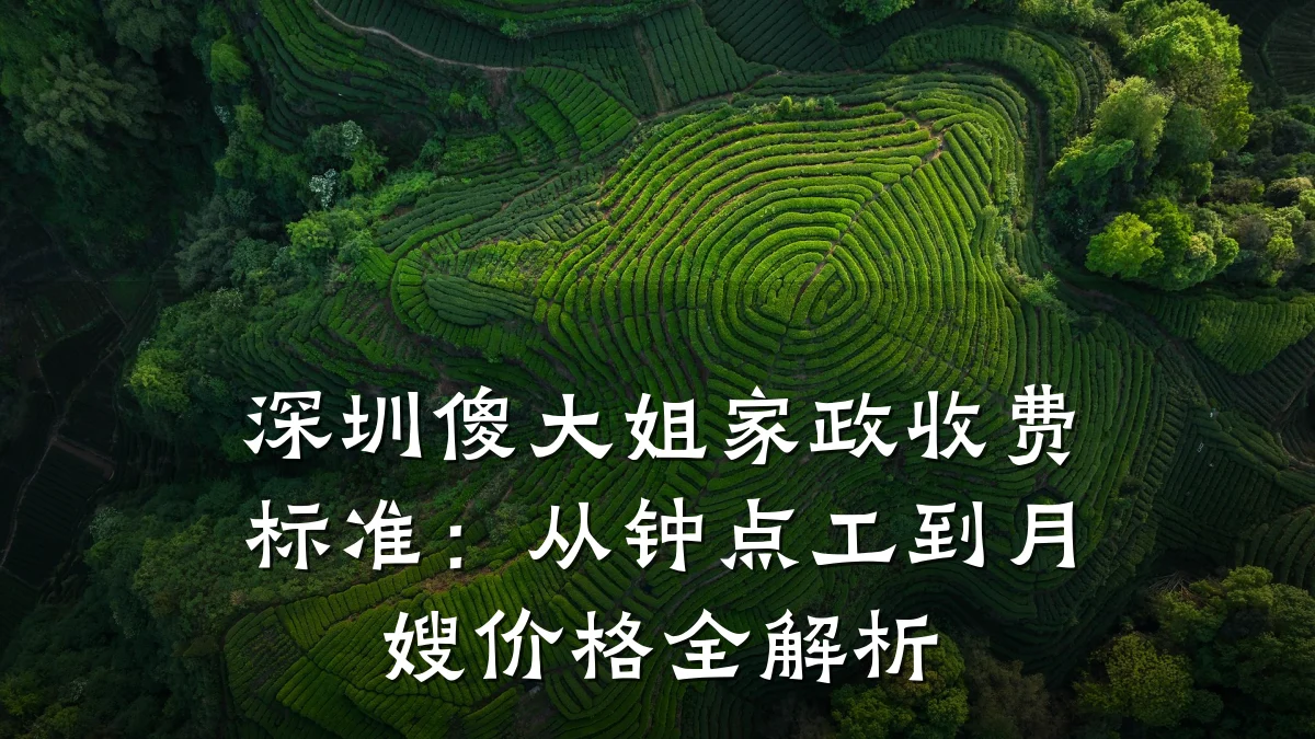 深圳傻大姐家政收费标准：从钟点工到月嫂价格全解析