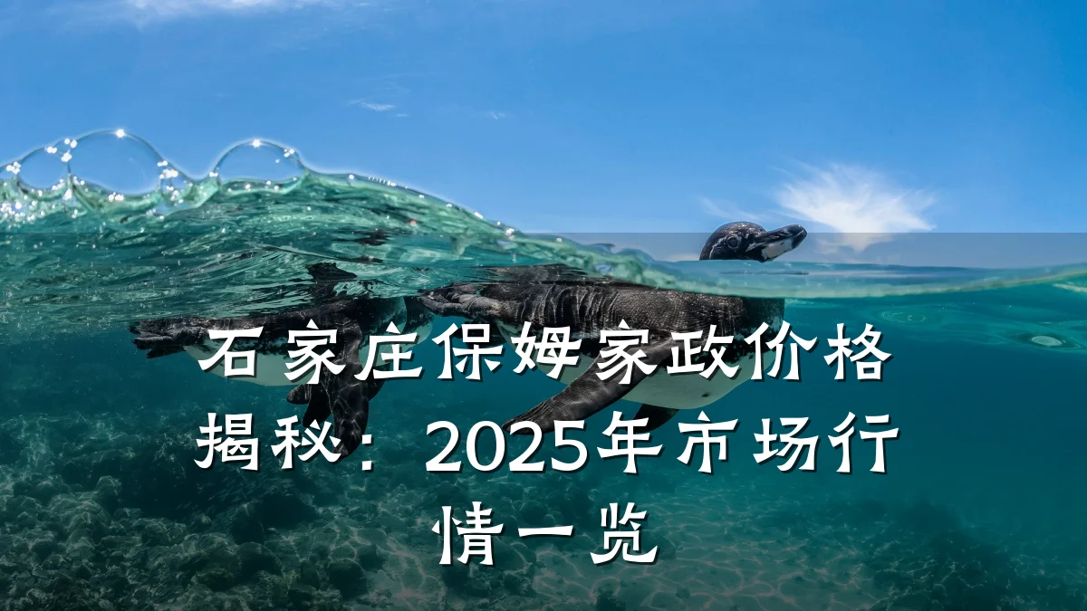 石家庄保姆家政价格揭秘:2025年市场行情一览