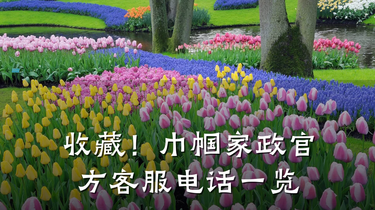 收藏!巾帼家政官方客服电话一览