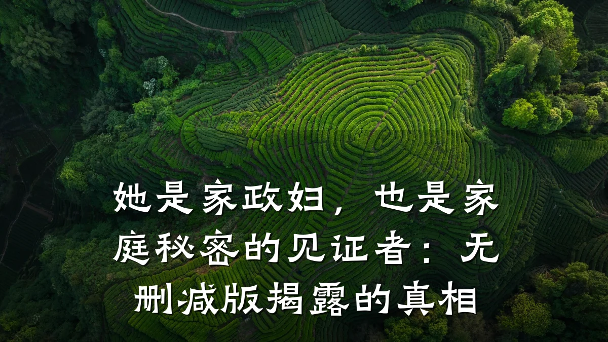 她是家政妇，也是家庭秘密的见证者：无删减版揭露的真相