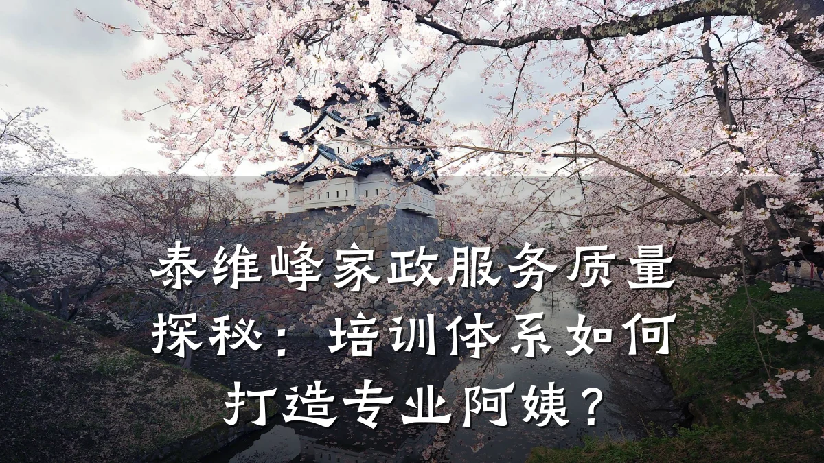 泰维峰家政服务质量探秘:培训体系如何打造专业阿姨?