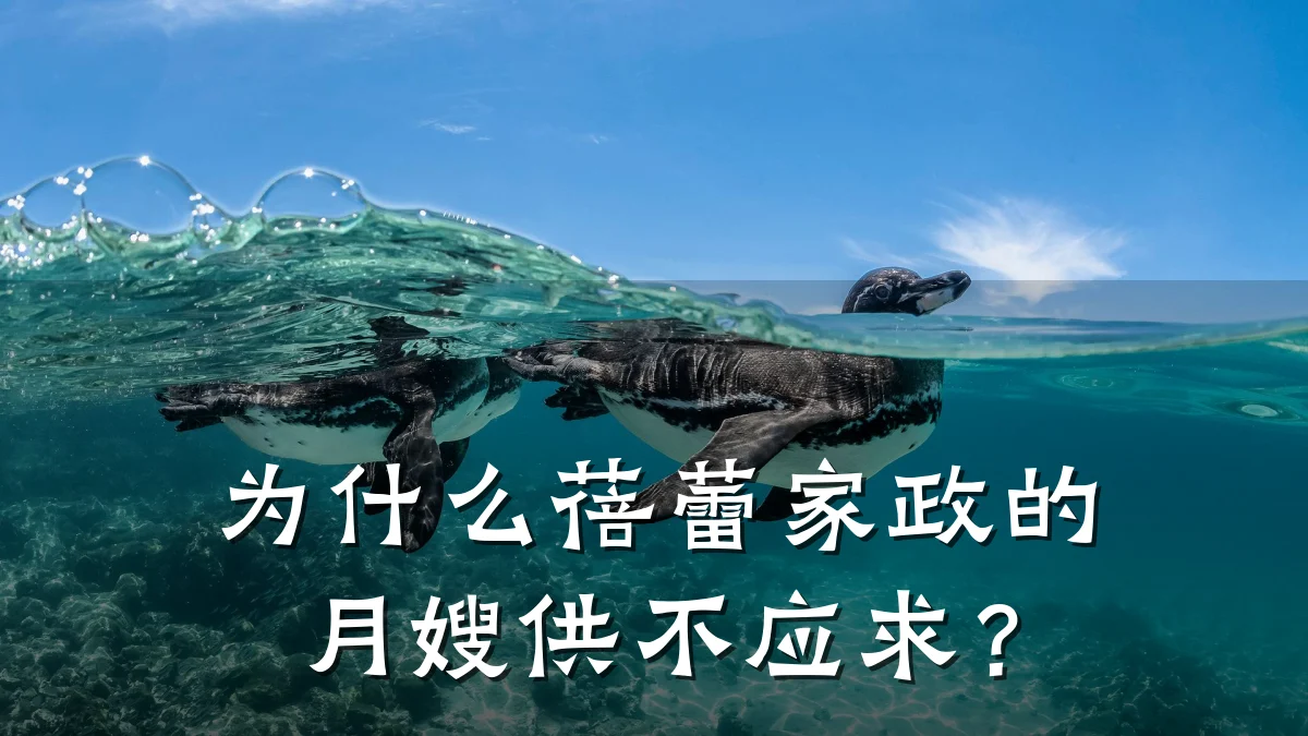 为什么蓓蕾家政的月嫂供不应求？