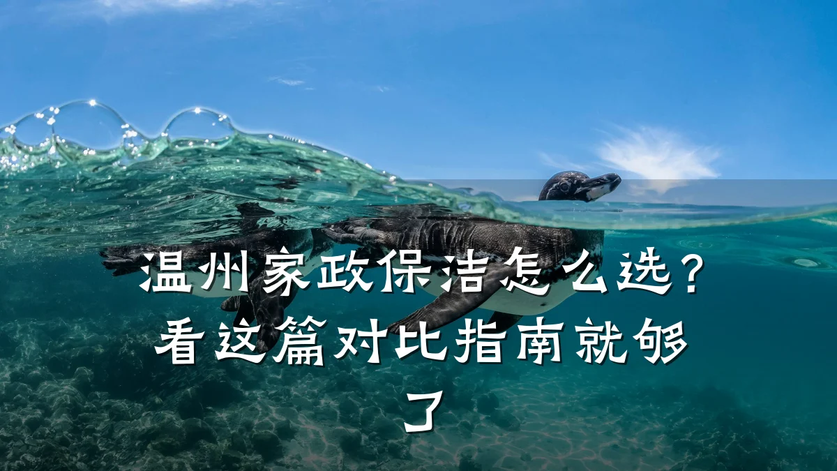 温州家政保洁怎么选？看这篇对比指南就够了