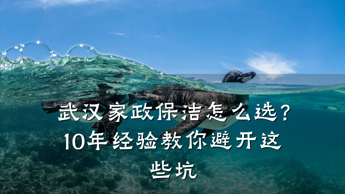 武汉家政保洁怎么选?10年经验教你避开这些坑