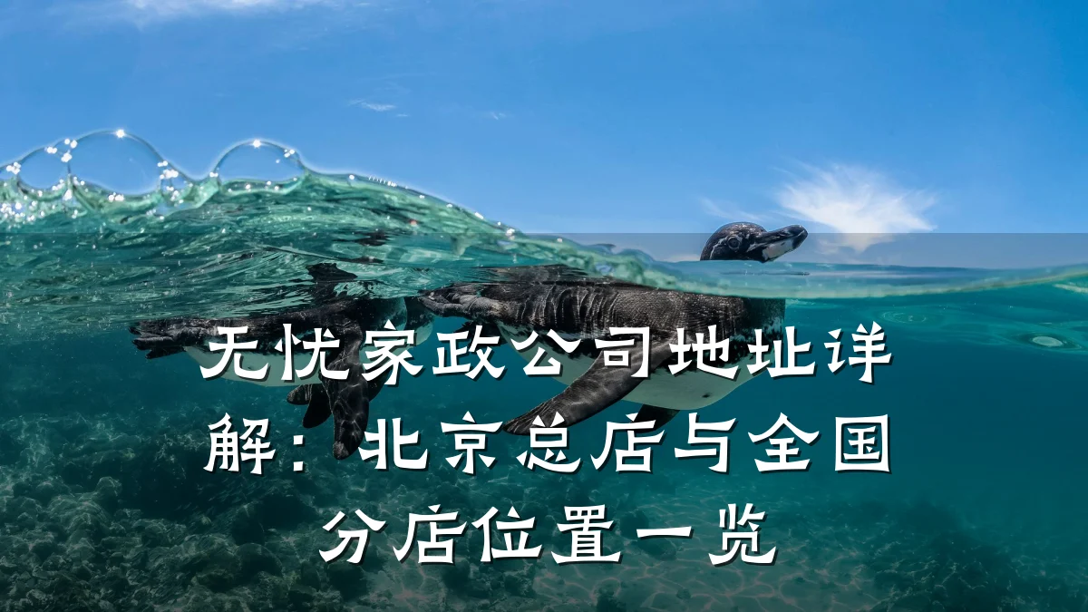 无忧家政公司地址详解:北京总店与全国分店位置一览