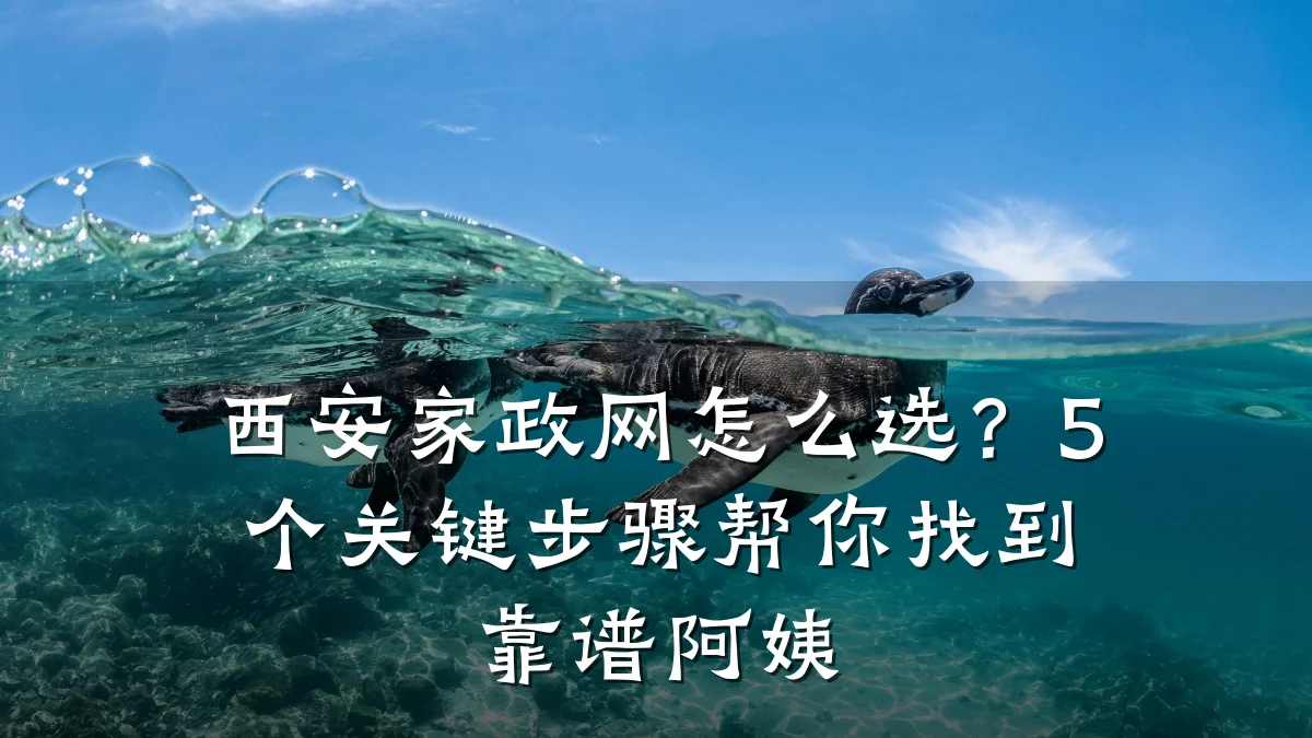 西安家政网怎么选?5个关键步骤帮你找到靠谱阿姨