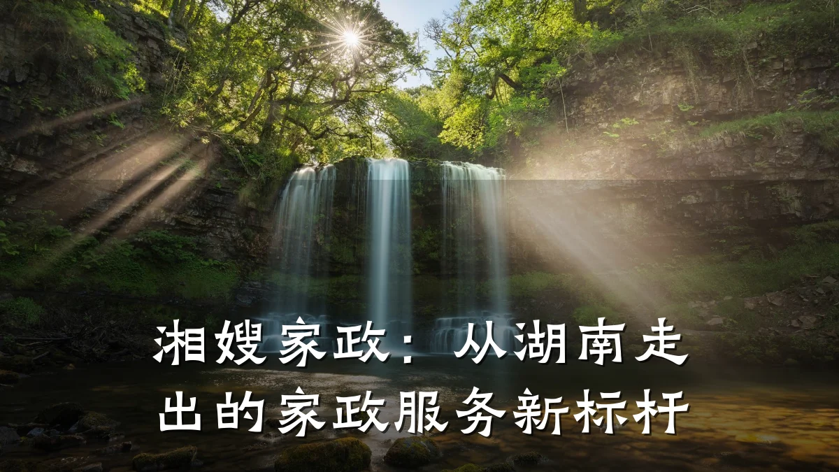 湘嫂家政:从湖南走出的家政服务新标杆