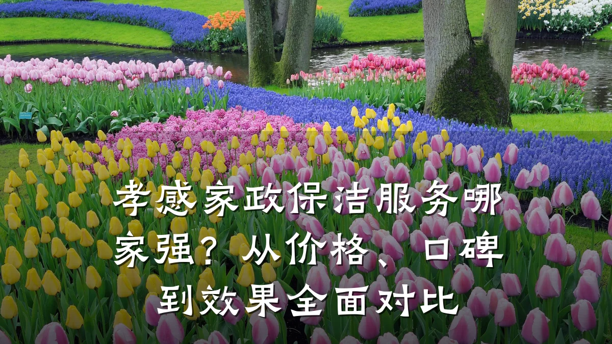 孝感家政保洁服务哪家强？从价格、口碑到效果全面对比