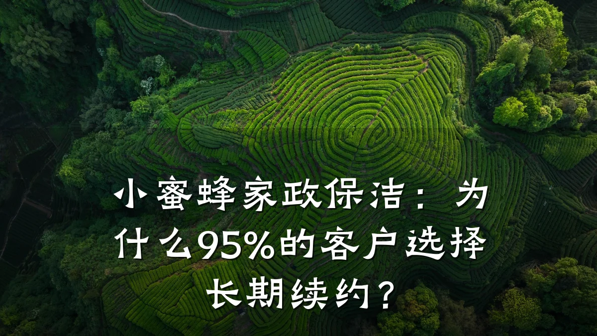 小蜜蜂家政保洁：为什么95%的客户选择长期续约？
