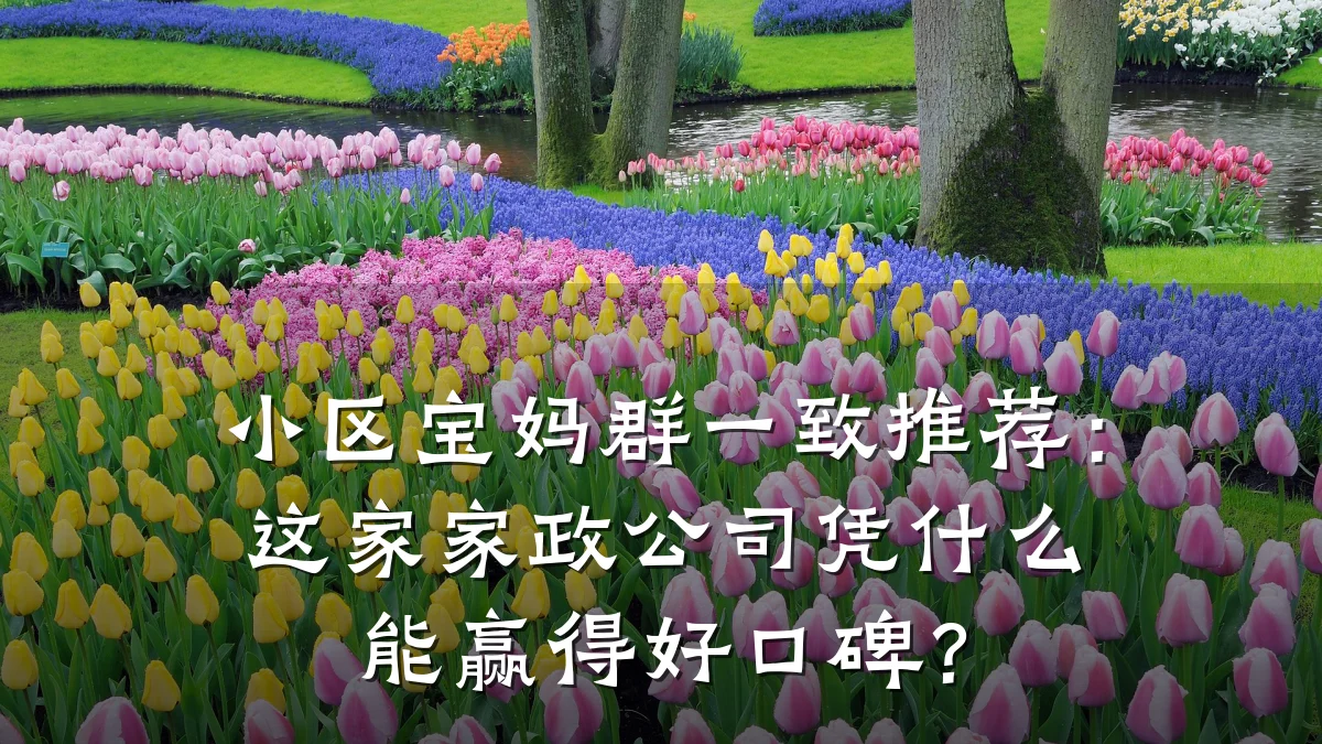 小区宝妈群一致推荐：这家家政公司凭什么能赢得好口碑？