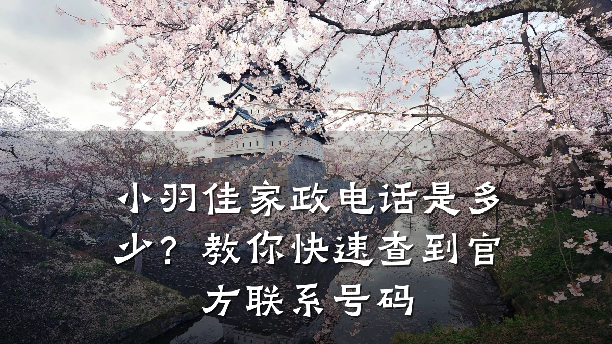 小羽佳家政电话是多少?教你快速查到官方联系号码
