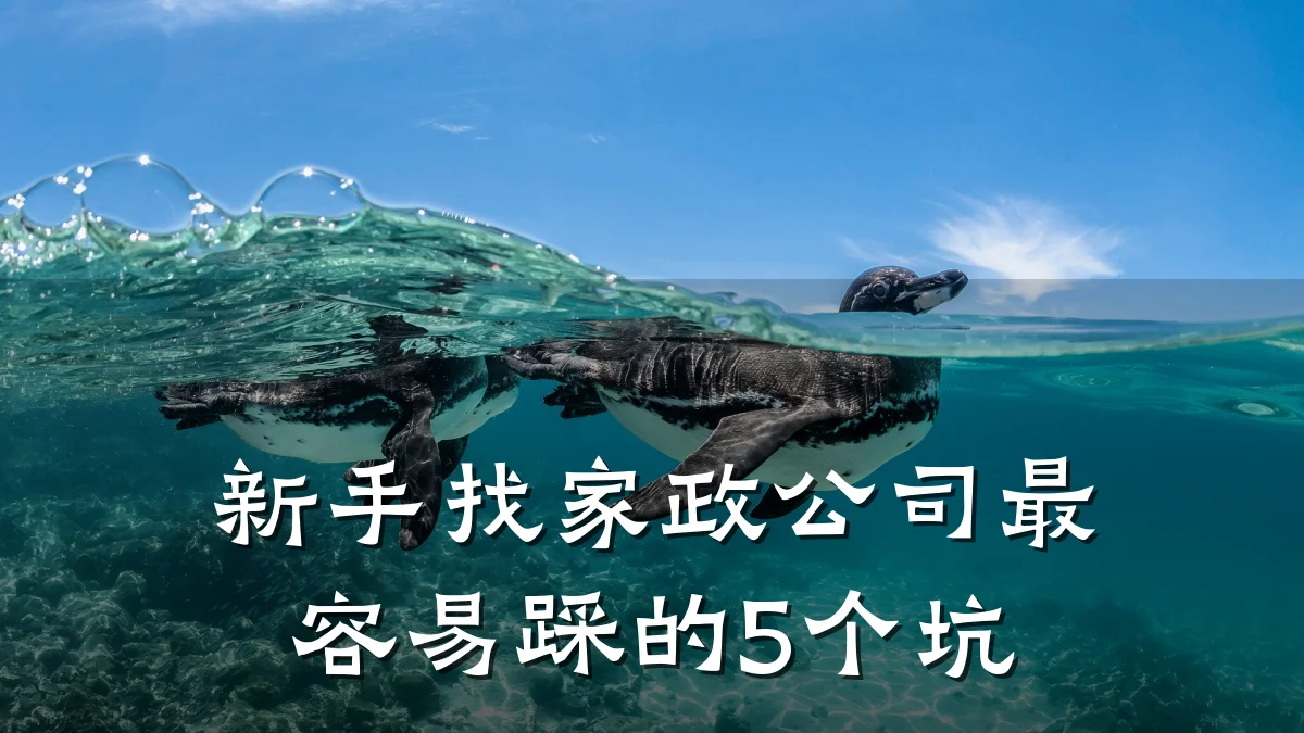 新手找家政公司最容易踩的5个坑