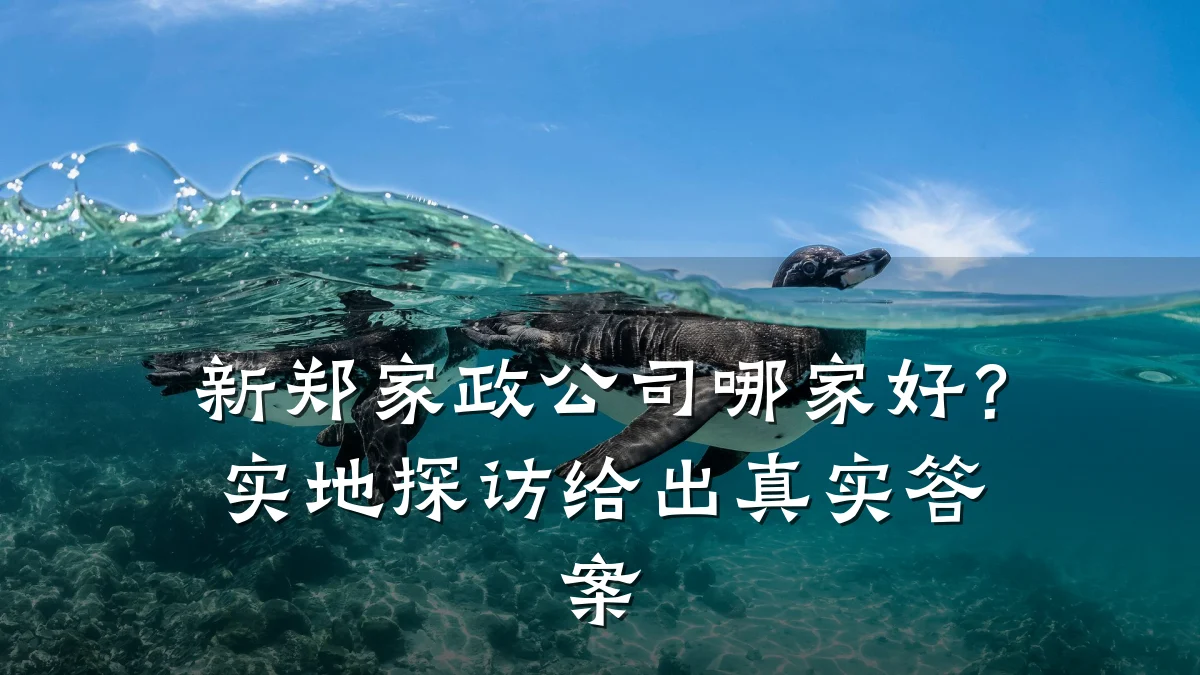新郑家政公司哪家好?实地探访给出真实答案