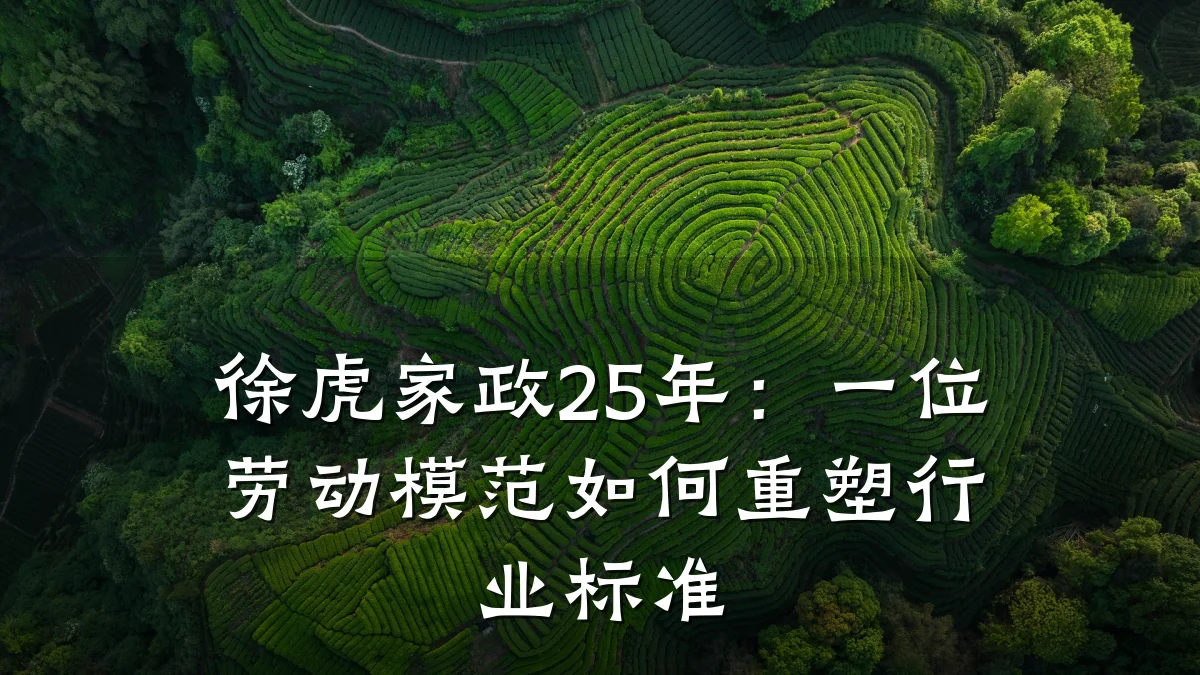 徐虎家政25年:一位劳动模范如何重塑行业标准