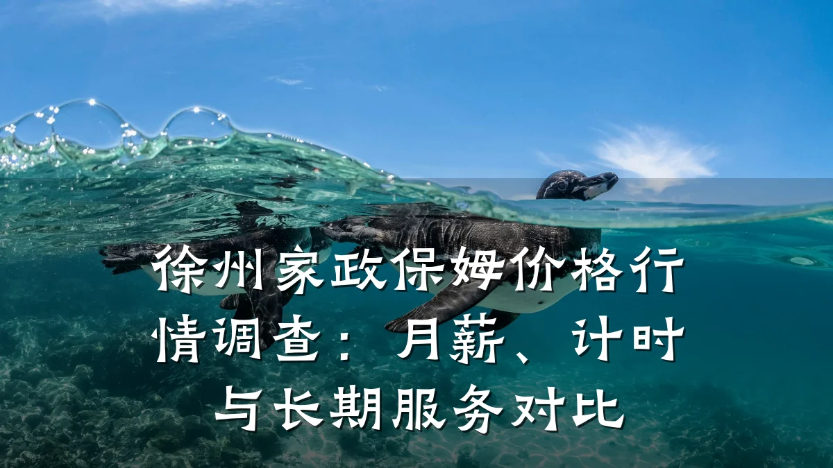 徐州家政保姆价格行情调查:月薪、计时与长期服务对比