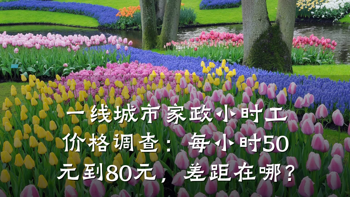一线城市家政小时工价格调查:每小时50元到80元,差距在哪?